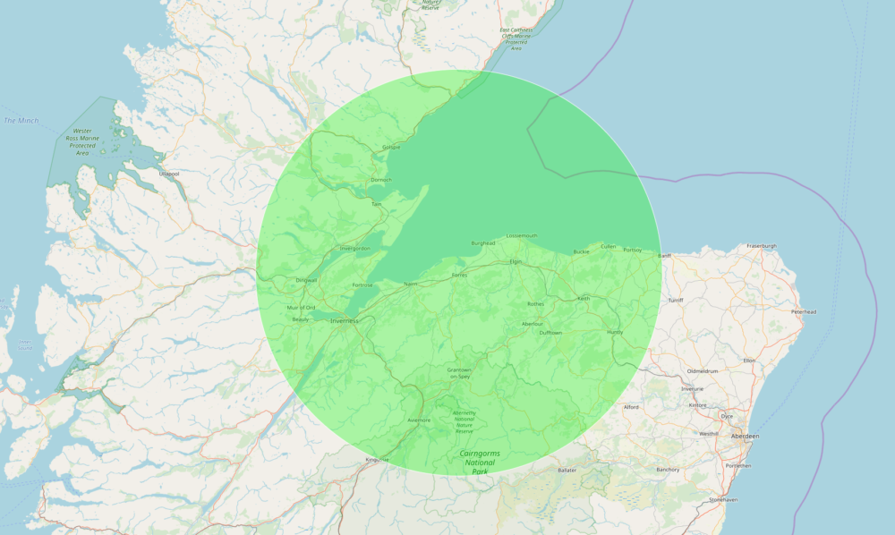 Tree Planting Giveaway | Branching Out to Grow a Greener Community